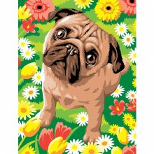 Paint By Numbers - Medium - Pug