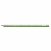Prismacolor Pencil Sap Green Light 120