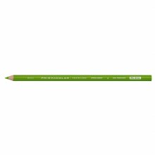 Prismacolor Pencil Spring Green 913