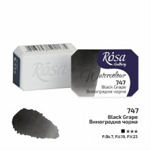 Rosa Full-Pan Watercolour - Black Grape 747