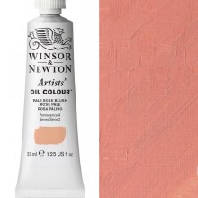 Winsor & Newton Artists' Oil Colour 37ml Pale Rose Blush