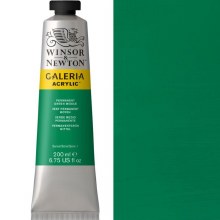 Winsor & Newton Galeria 200ml Permanent Green Middle