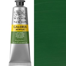 Winsor & Newton Galeria 60ml Sap Green