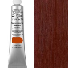 Winsor & Newton Professional Acrylic 200ml Burnt Sienna Winsor & Newton Professional Acrylic 200ml Burnt Sienna