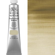 Winsor & Newton Professional Acrylic 200ml Davy's Gray