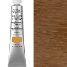 Winsor & Newton Professional Acrylic 200ml Raw Sienna Winsor & Newton Professional Acrylic 200ml Raw Sienna
