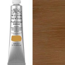 Winsor & Newton Professional Acrylic 200ml Raw Sienna