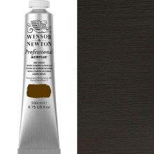 Winsor & Newton Professional Acrylic 200ml Raw Umber