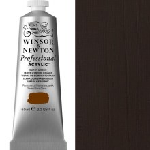 Winsor & Newton Professional Acrylic 60ml Burnt Umber Winsor & Newton Professional Acrylic 60ml Burnt Umber
