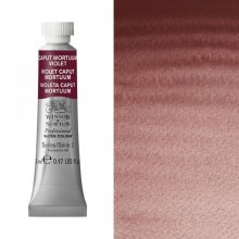 W&N Professional Watercolour 5ml Caput Mortuum Violet W&N Professional Watercolour 5ml Caput Mortuum Violet