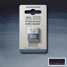 W&N Professional Watercolour Half Pan Payne's Grey