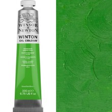 Winsor & Newton Winton 200ml Permanent Green Light
