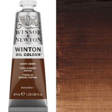 Winsor & Newton Winton 37ml Burnt Umber