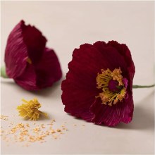 Additional picture of Mini Craft Kit Crepe Paper - Poppies