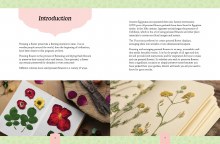 Additional picture of Botanicals Pressed Flowers Kit