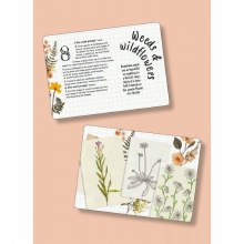 Additional picture of Sketch-a-Day Card Deck