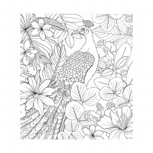 Additional picture of Wonder Gardens Colouring Book