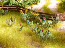 Additional picture of Field & Wild Flowers