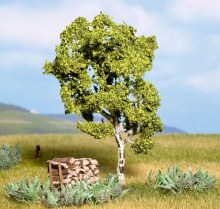 Additional picture of NOCH model Birch Tree 11.5cm