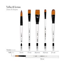 Additional picture of Darwi Set of 5 Large Brushes