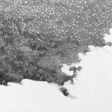 Additional picture of Liquitex Glass Beads 237ml