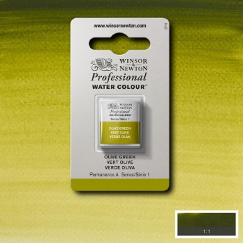 W&N Professional Watercolour Half Pan Olive Green