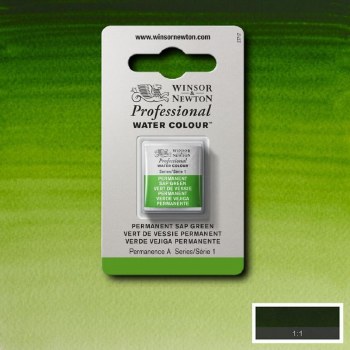 W&N Professional Watercolour Half Pan Permanent Sap Green