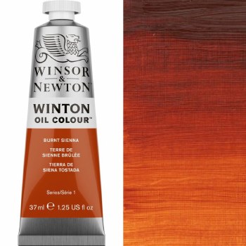 Winsor & Newton Winton 37ml Burnt Sienna
