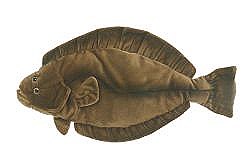 Halibut plush 22"