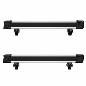 Thule SnowPack 6 - Silver - OPEN BOX