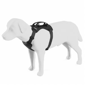 Thule Cappy Dog Car Harness Small