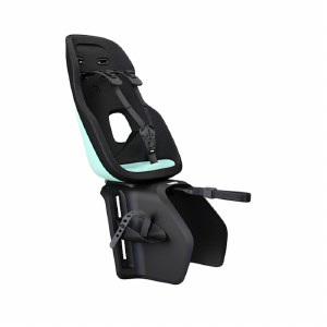 Thule Yepp Nexxt 2 Maxi - Rack Mount - Mint Green