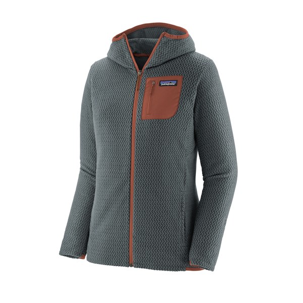 Patagonia tech fleece on sale hoody