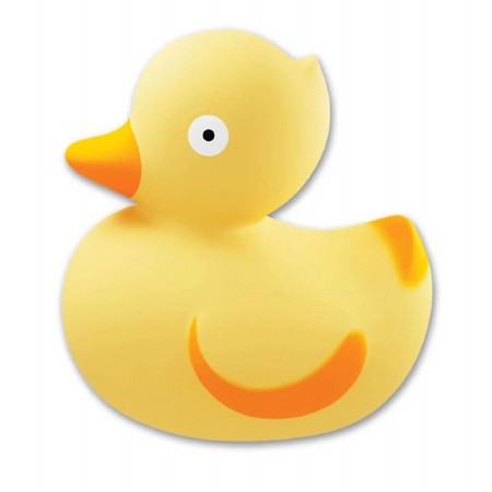 Bath Toy Lily the Duck
