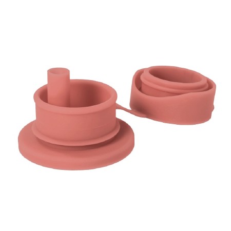 Big Mouth Sport Straw Rose