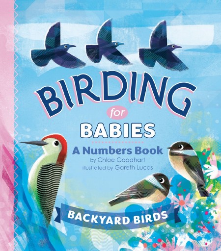 Birding for Babies : Backyard Birds : A Numbers Book