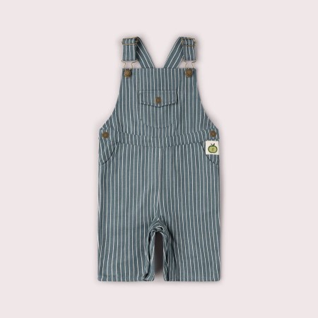 Blue Shortall 12-18m