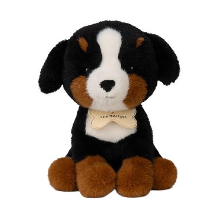 BT Chaps Benny the Bernese Mountain Dog