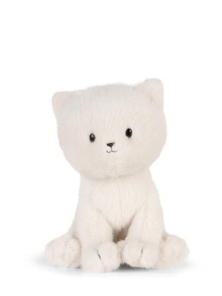 BT Chaps Dolly the Ragdoll Cat