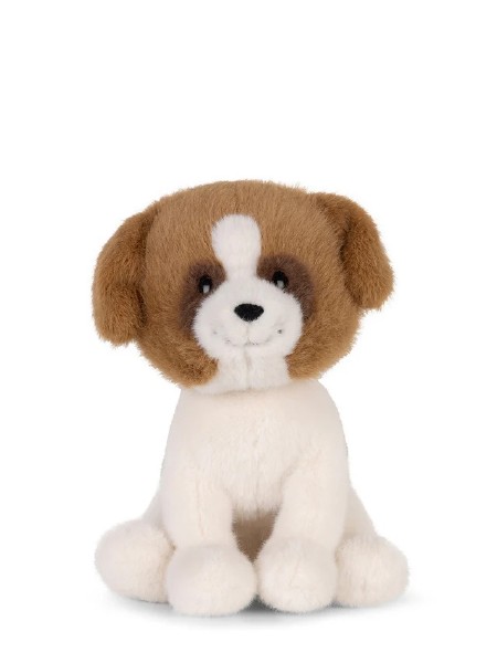 BT Chaps Herman the St Bernard
