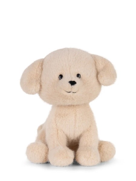 BT Chaps Loulou the Labrador