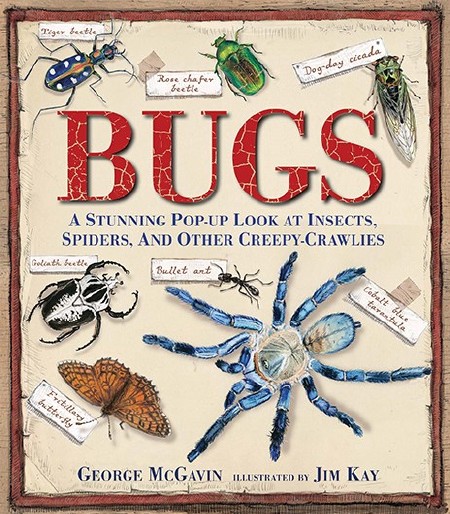 Bugs : A Stunning Pop-Up