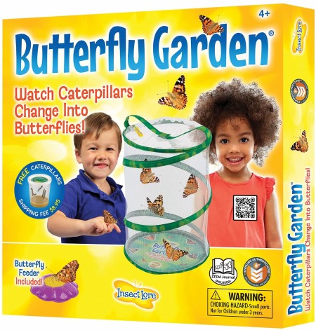 Butterfly Garden Original