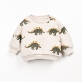 Dino Sweatshirt 3-6m