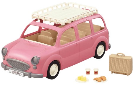 Family Picnic Van