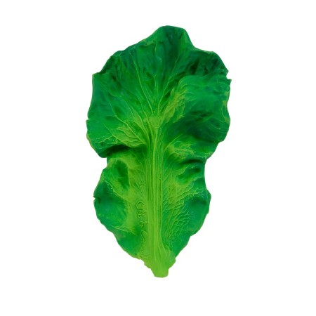 Kendall the Kale Teether