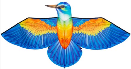 Kite Bird Kingfisher