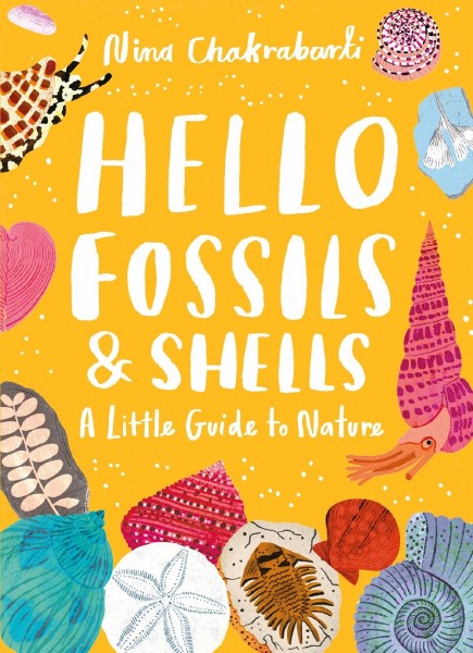 A Little Guide to Nature : Hello Fossils and Shells