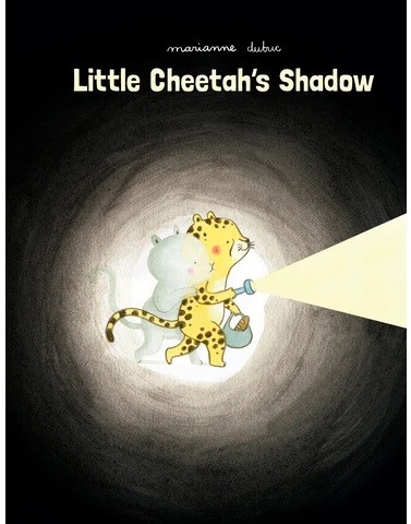 Little Cheetah's Shadow