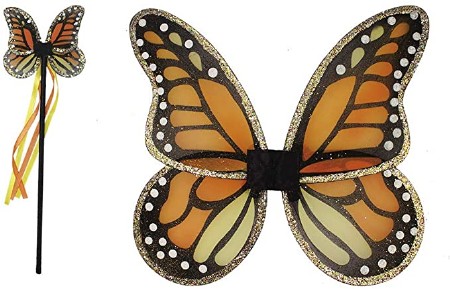 Monarch Wings &amp; Wand